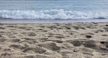 GĂźte in Catalan farmhouse