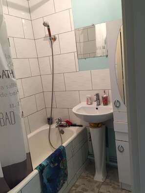 Hair dryer, towels, soap, toilet paper - Cosy studio overlooking the Auvergne volcanoes (Royat)
