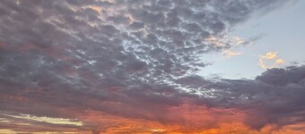 Desert Bliss Horse Trailer: The Edge of the Alvord Desert, A place to Just Be.