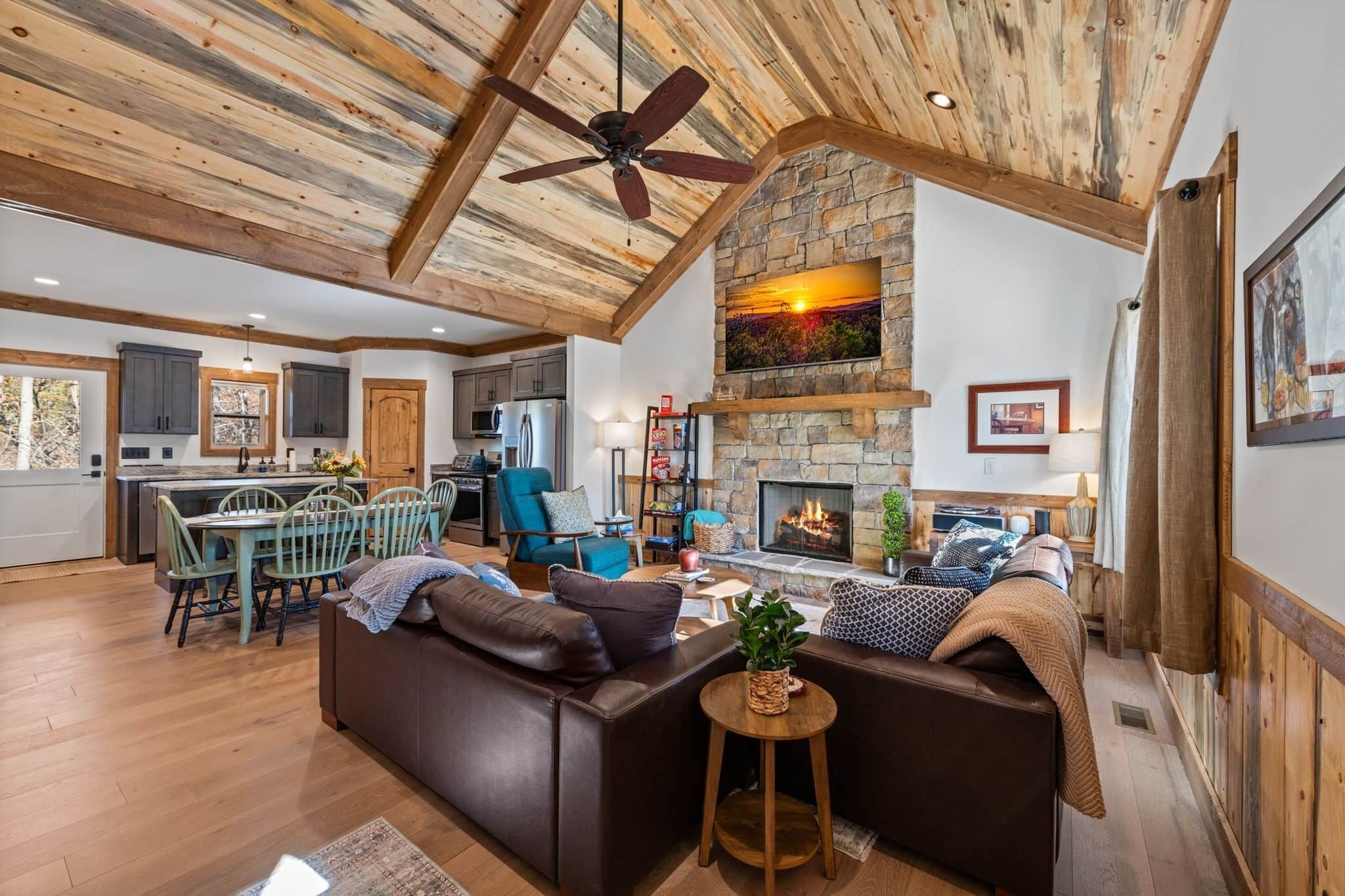 Fireplace, video games, books