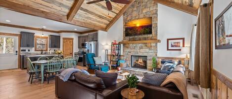 Fireplace, video games, books