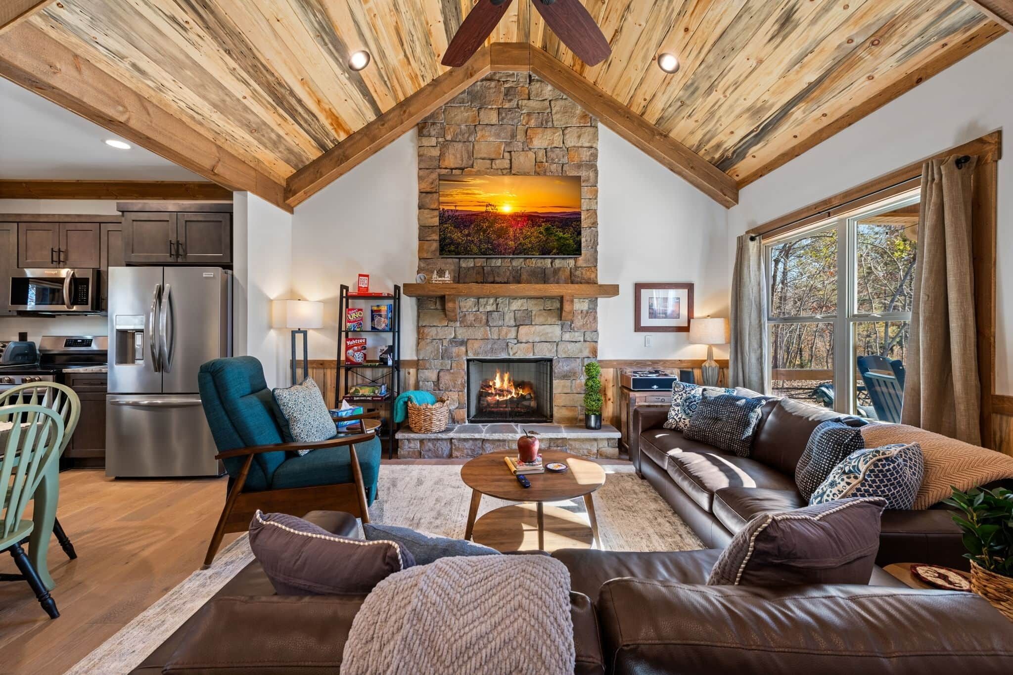 Fireplace, video games, books