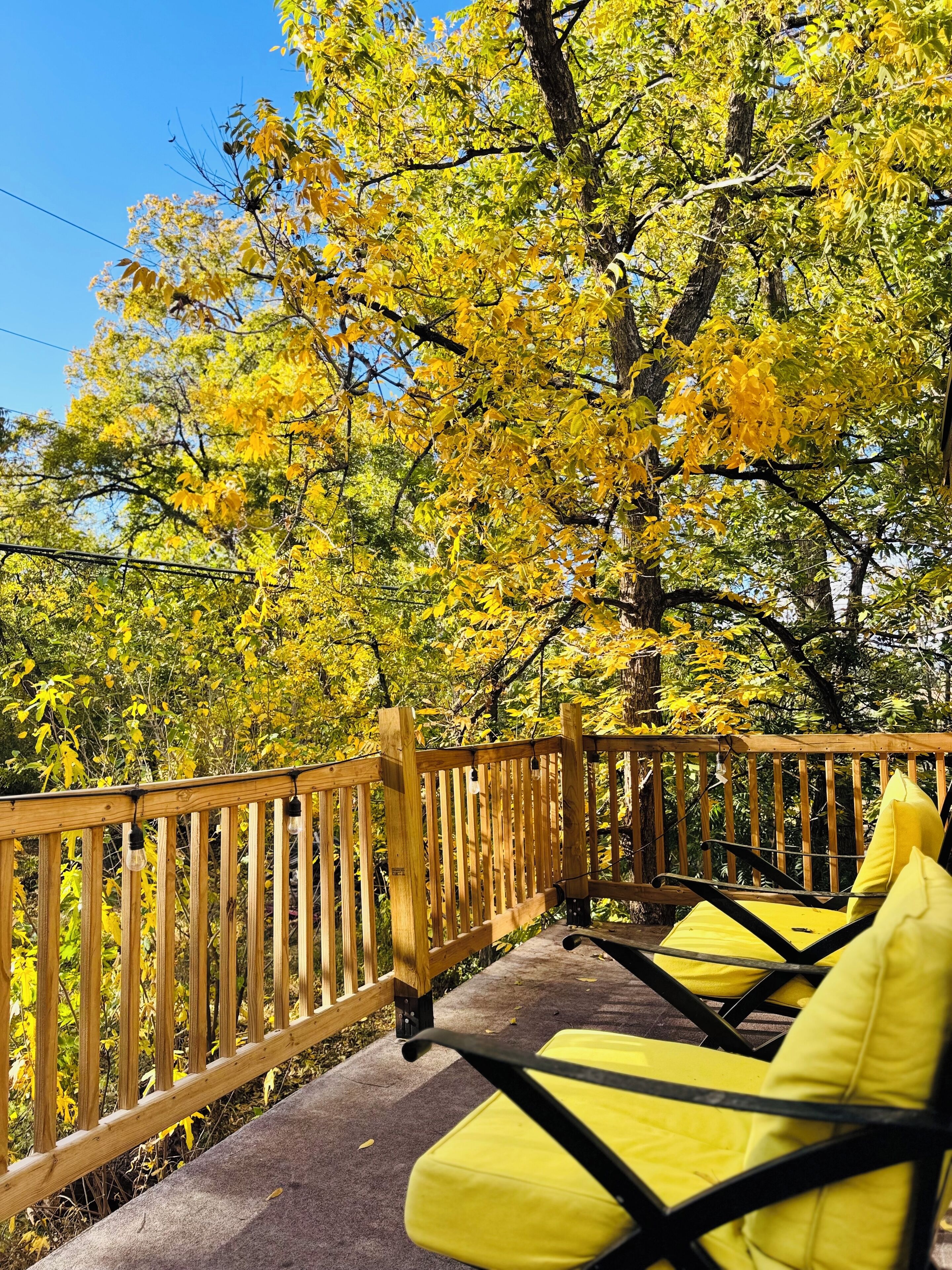 Overnattingsstedets uteområder