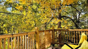 A wooden deck with yellow chairs and a railing, surrounded by trees with yellow leaves. - Casita Lotus cozy little loft on an Orchard (El Paso)