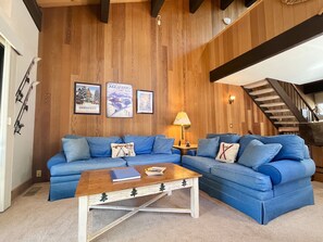 TV connectée, cheminée, jeux vidéo, livres