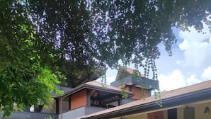 Eksteriør