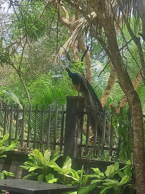 Property grounds - Hotel Noble Sight (Anuradhapura)