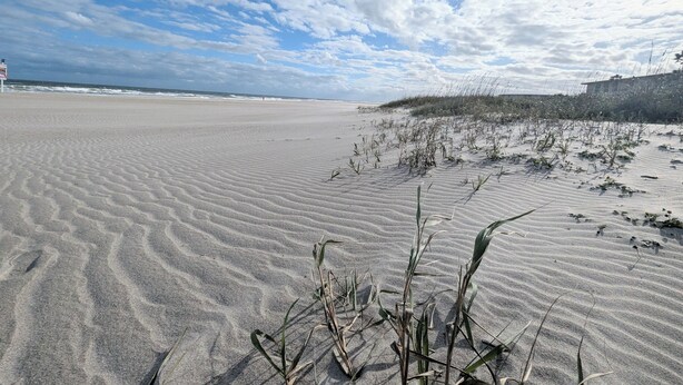 A beach with sand dunes and sparse vegetation. - Upscale Unit with 2 King Beds-One Level-Pool Front- Steps to Sand Beach & Pier! (Cocoa Beach)