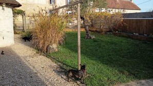 A backyard with a gravel path, a wooden fence, and a house in the background. - Very cocoon garden hut - access to our magnificent Gîte. Near Provins (Savins)