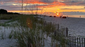 Une plage avec un coucher de soleil, du sable et quelques plantes.