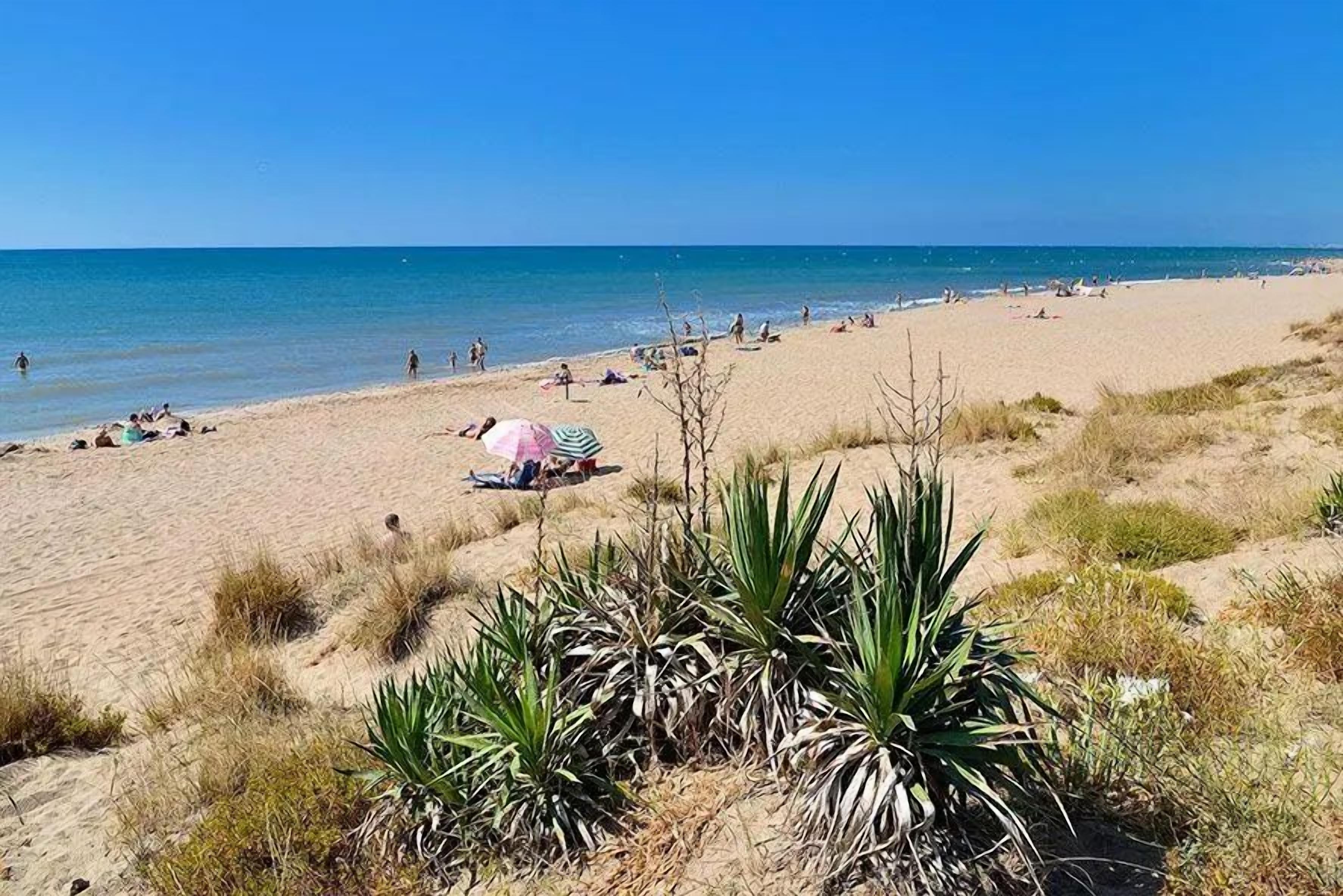 Ein Strand mit Dünen, blauem Himmel und einigen Personen.