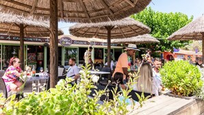 Un espace extérieur aménagé pour les repas, avec des parasols en chaume, des meubles en osier et une enseigne indiquant « Patio del Mas, bar-restaurant ».