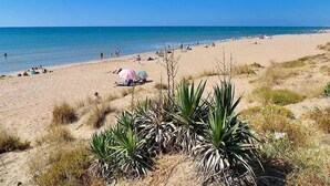 Une plage de sable où l’on voit des gens se prélasser au soleil et nager, avec quelques éléments de végétation au premier plan.