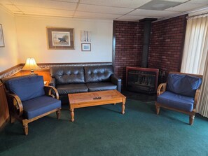 Fireplace - Panoramic Lake View Condo #14 w/Private Hot Tub (Mountain Home)