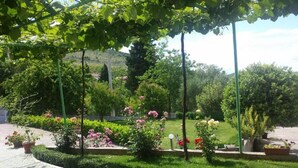 A garden with a paved walkway, various flowering plants, and trees. - Elez Serenity Guesthouse - Twin room 7 (Medugorje)