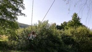Une personne sur une balançoire, dans un endroit boisé.