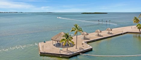 A tropical beach resort with a thatched-roof pavilion, palm trees, and a swimming pool.
