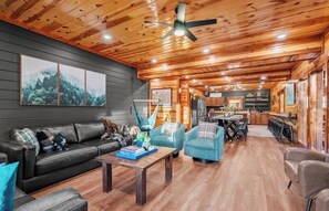 Smart TV, fireplace, books