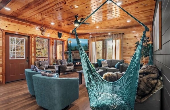 Smart TV, fireplace, books