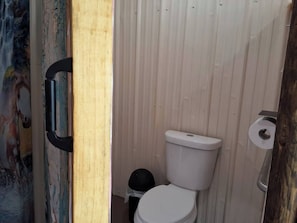 Shower, towels, toilet paper