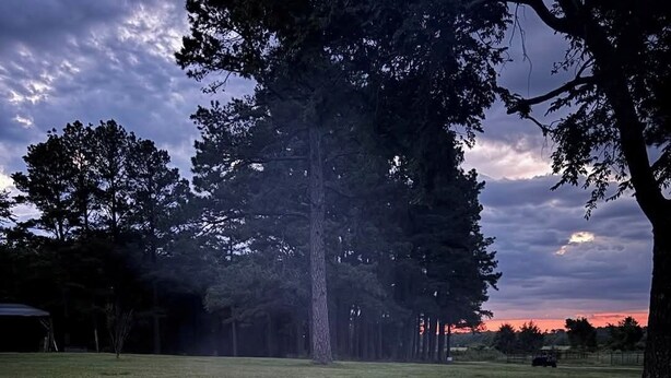 A grassy outdoor area with a fire pit in the foreground and trees in the background. - Friesian Cabin (Heavener)