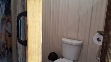 Shower, towels, toilet paper