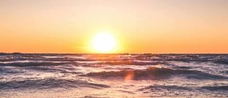 Chaises longues, serviettes de plage