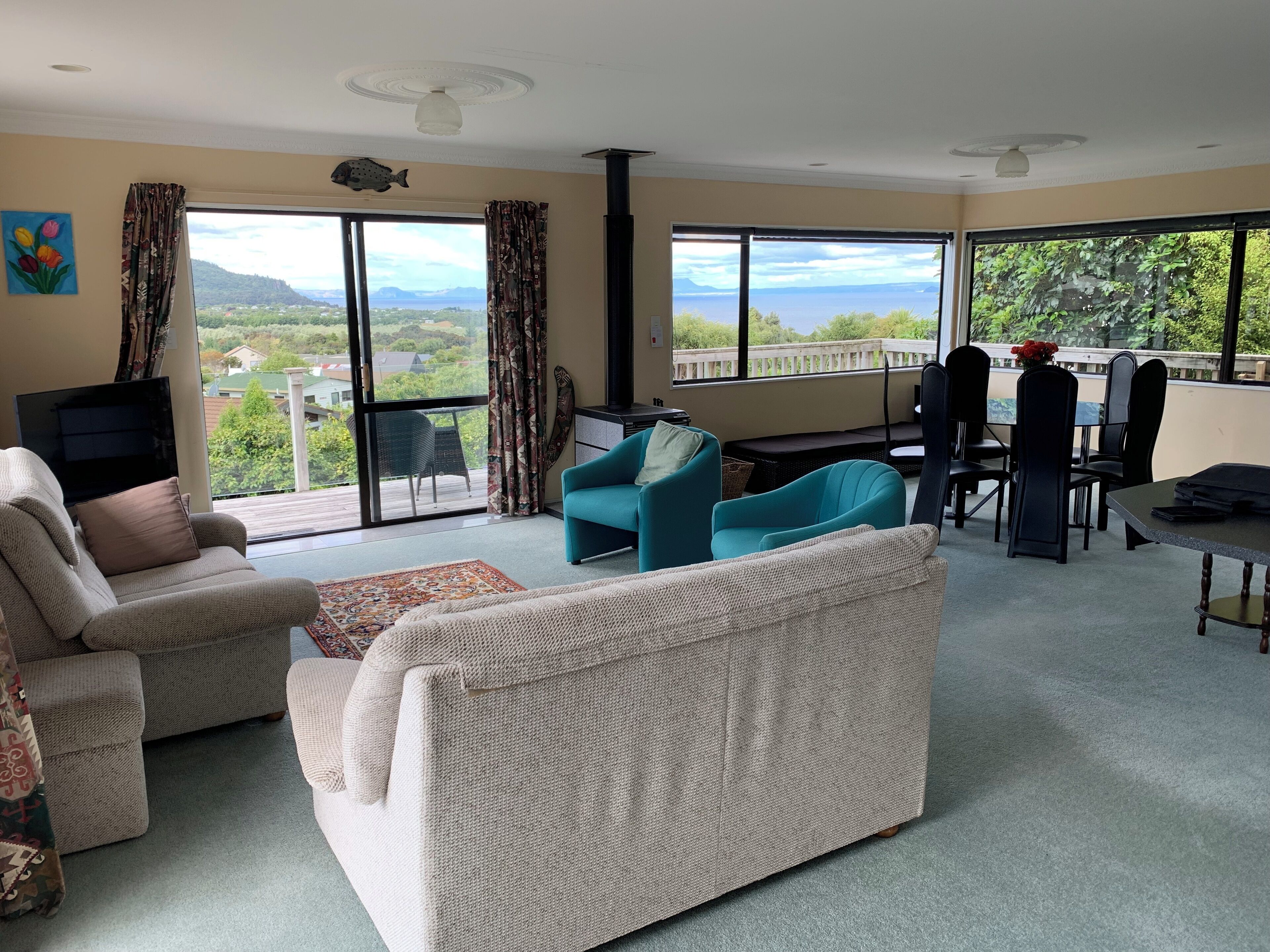 Smart TV, fireplace, books, stereo