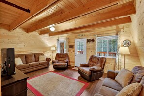 TV, fireplace, video games, DVD player