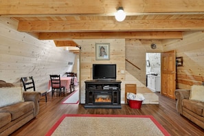 TV, fireplace, video games, DVD player