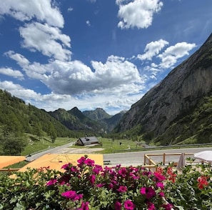 A mountain landscape with a road, a small building, and a flower bed. - Capanna Bill (Rocca Pietore)