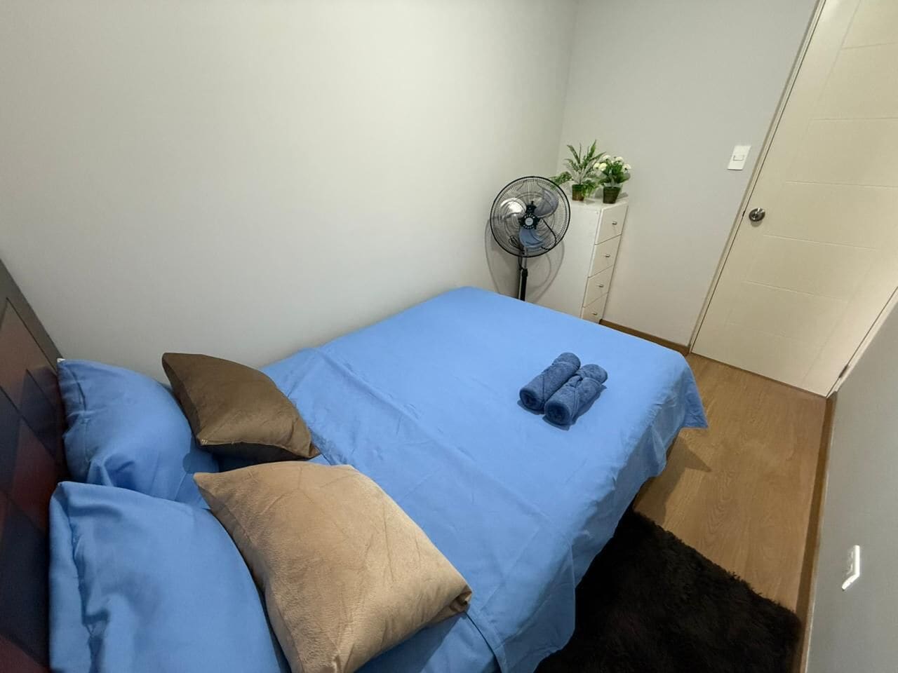 A small, neatly made bed with blue and beige bedding, a fan, and a small plant on a white dresser.