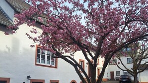 Un bâtiment blanc avec une porte rouge, un escalier et un arbre aux fleurs roses.