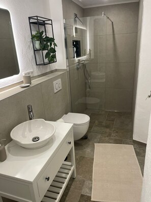 Regadera, secadora de cabello, jabón, papel de baño 