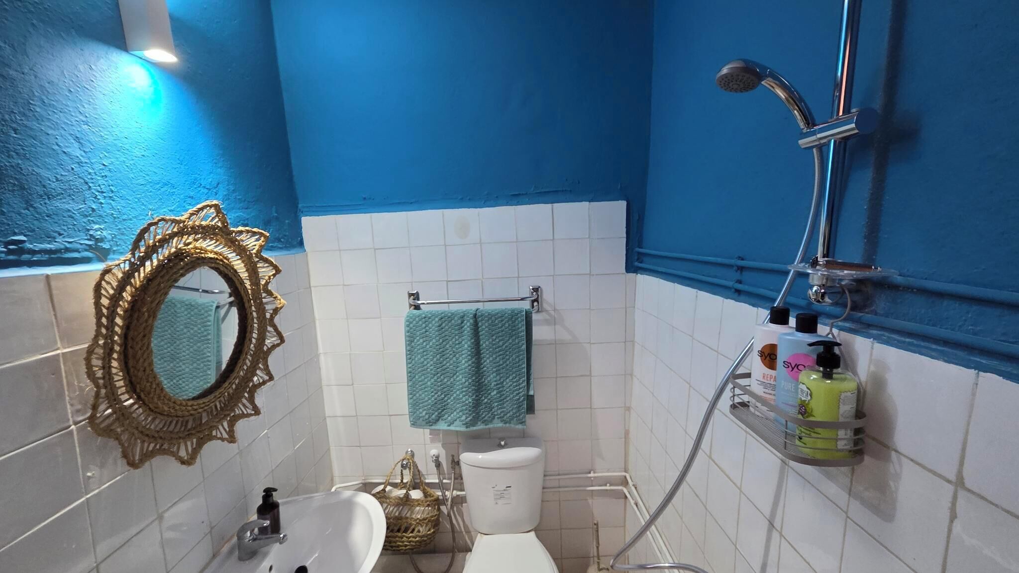 Shower, hair dryer, bidet, towels