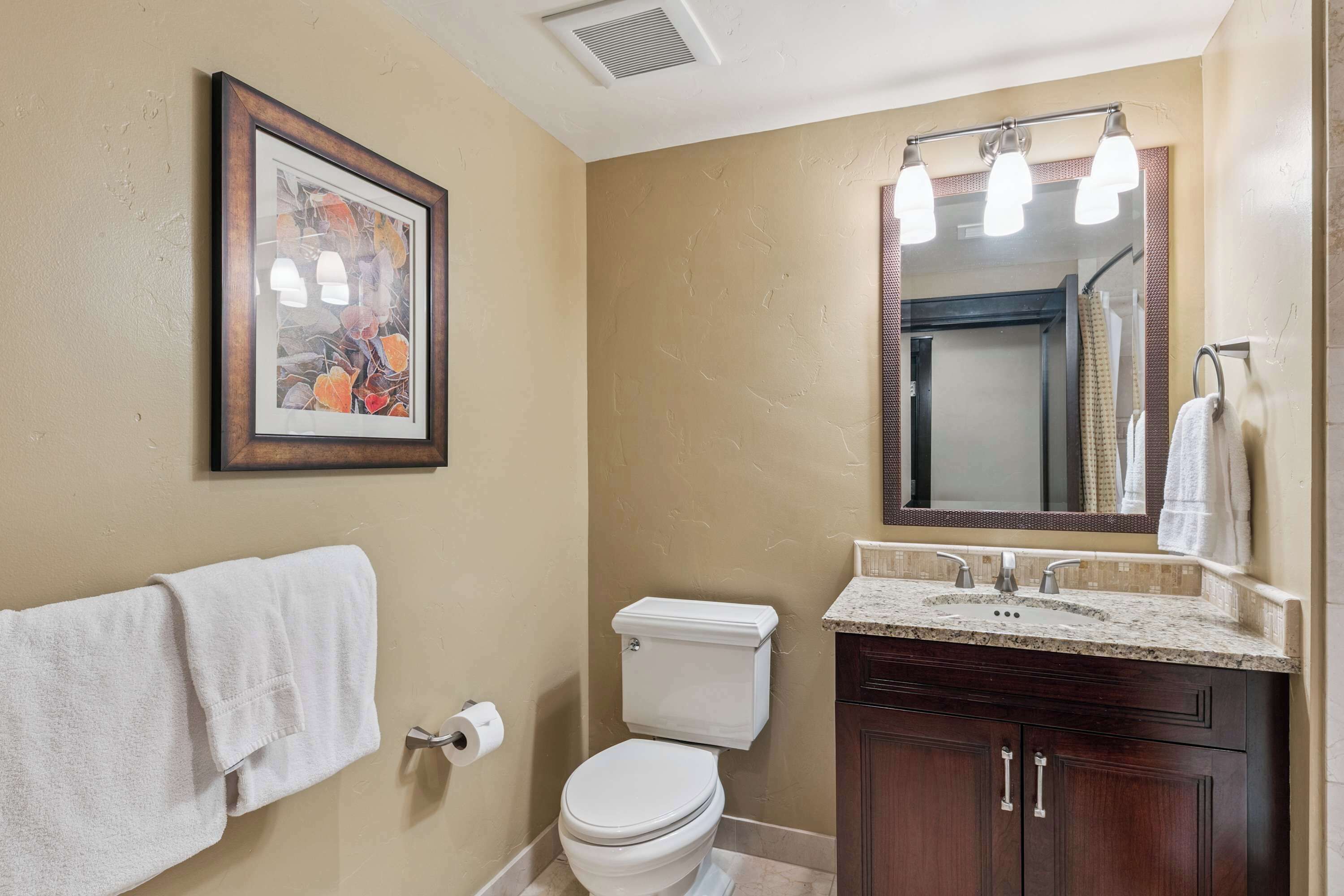 A bathroom with a toilet, sink, vanity, framed picture, and towel rack.