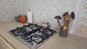 Fridge, stovetop, cookware/dishes/utensils