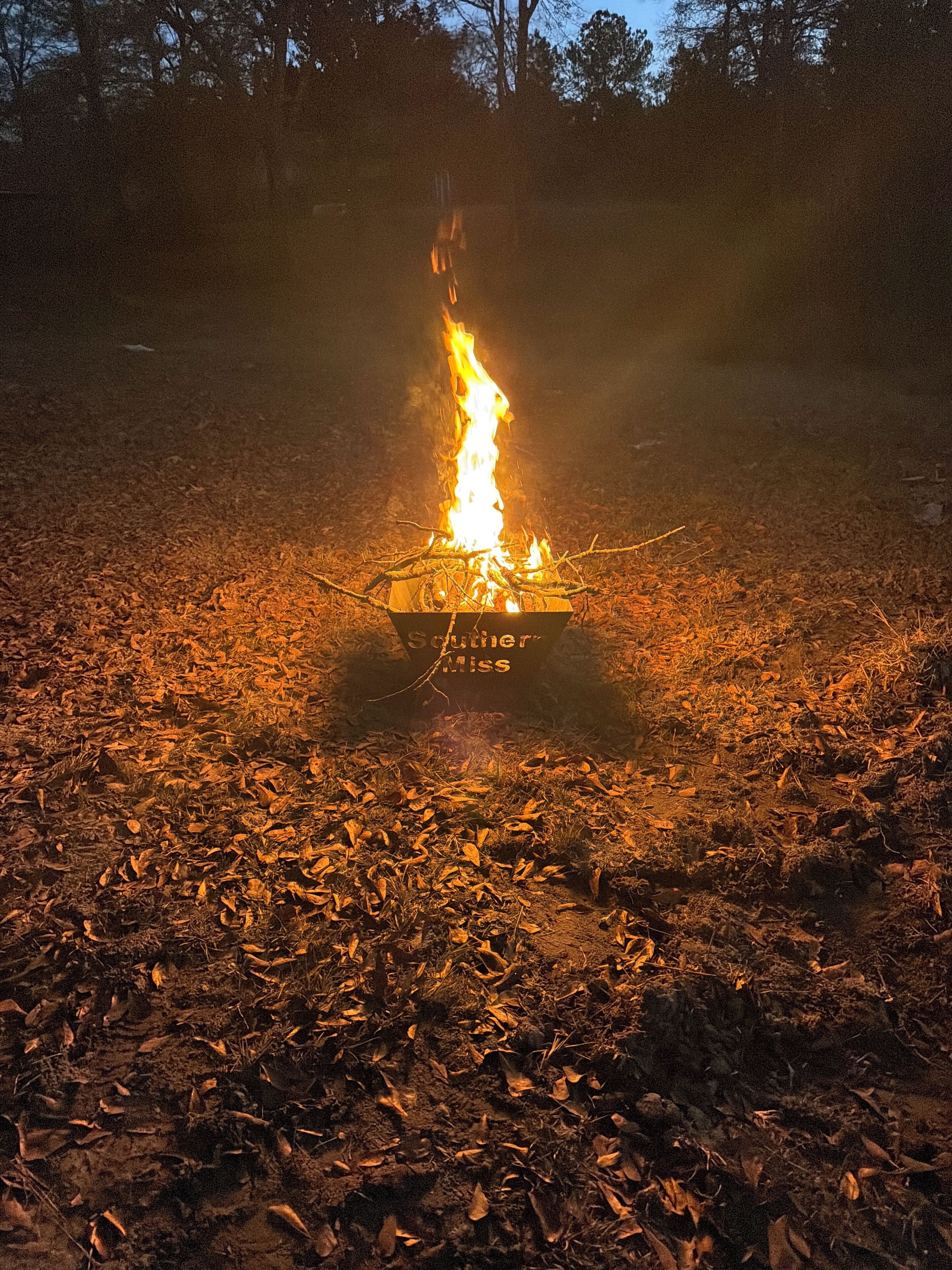 A campfire in a metal fire pit surrounded by dry leaves on the ground.