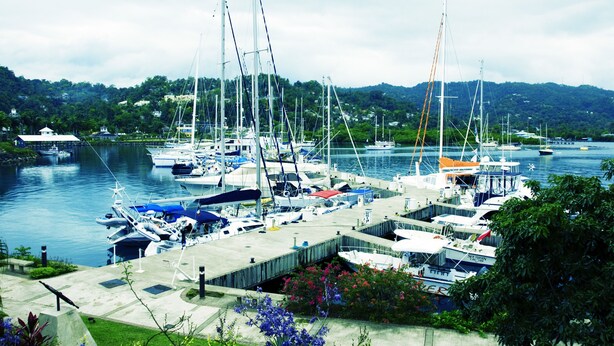 Marina - Room in Portland  (Stony Hill)
