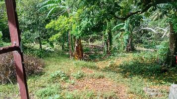 Área da propriedade