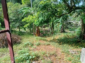 Área da propriedade