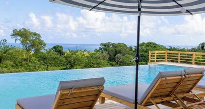 Private Villa/ Infinity Pool/26 guests/14 King Size Beds/8 bedrooms/8.5 baths