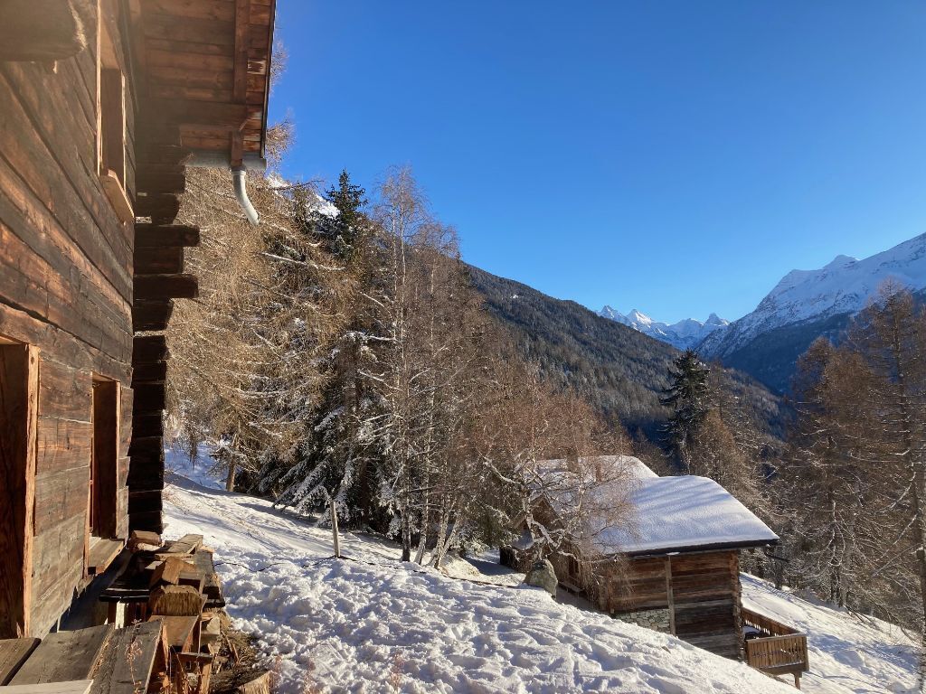 A wooden cabin with a snow-covered roof, surrounded by trees and mountains in the background.