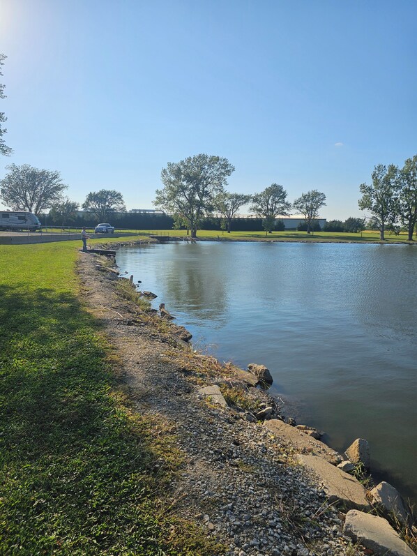 Un río tranquilo con una orilla cubierta de hierba y árboles al fondo.