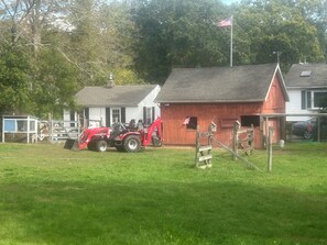 Property grounds - The Tiny Cottage at Clem & Clyde's (Oakdale,)