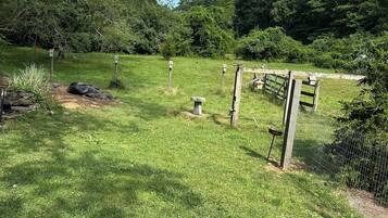 Un camp amb herba, una tanca de fusta, un banc de pedra i una tanca de filferro al fons.