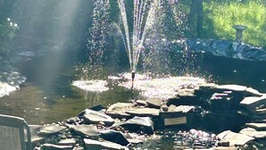 Une fontaine avec des jets d’eau, entourée de rochers et bordée d’un bassin.