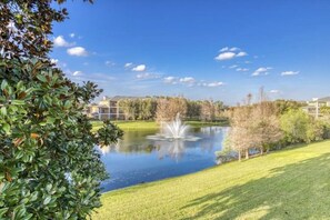 Eine friedliche Außenanlage mit Teich, Brunnen und gepflegtem Rasen.