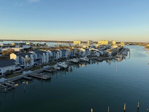 Marina - Welcome to Mad Beach OctoEscape! The perfect getaway for all ages! (Madeira Beach)