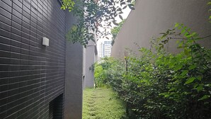 Een smalle steeg met een bakstenen muur aan de ene kant en een haag aan de andere. Er ligt een klein stukje gras en enkele stapelstenen die door de steeg leiden.